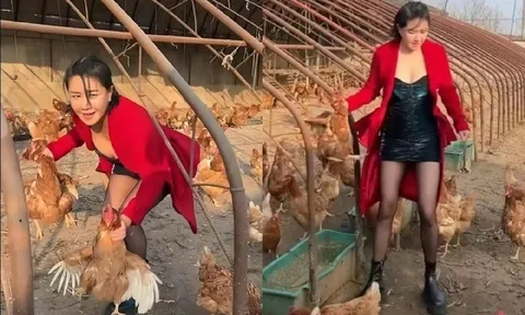 Từng là biểu tượng gợi cảm Hong Kong, nay mỹ nhân “Lan Quế Phường” rời showbiz, về quê nuôi gà, sống bình yên bên chồng trẻ