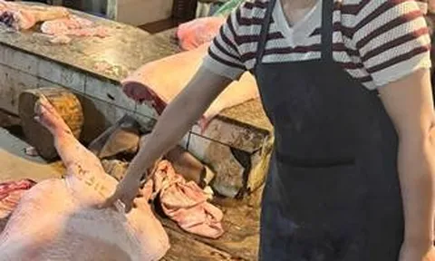 Hà Nội: Khởi tố nhóm đối tượng mua bán lợn mắc tả lợn Châu Phi