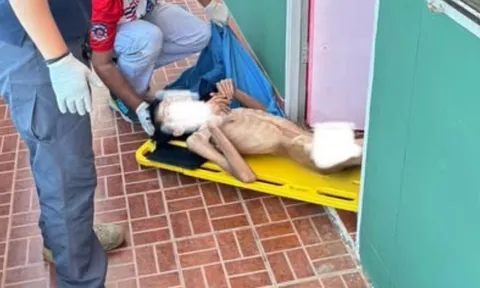 Nghiện nước cây “kích thích” khiến chàng trai 23 tuổi gầy rộc, chỉ còn da bọc xương, nằm bất động giữa căn phòng bừa bộn