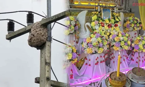 Leo cột điện để lấy "đầu hổ" về nhậu, nam thanh niên tử vong thương tâm