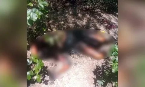 Cô gái trẻ mất tích sau buổi phỏng vấn xin việc, được tìm thấy tử vong giữa khu rừng