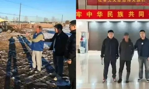 Mất trắng đàn bò vì hàng xóm "phát cuồng" với hot girl mạng