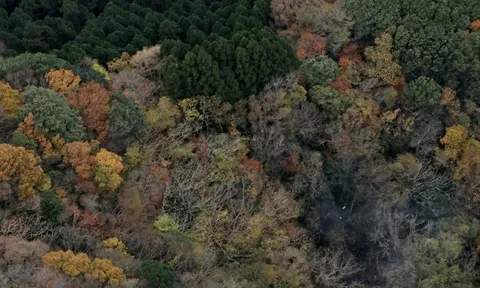 3 người thiệt mạng trong vụ rơi máy bay