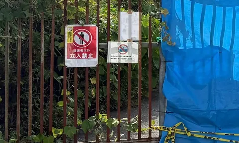 Lén vào nhà hoang, nhóm thiếu niên bất ngờ "vớ" được 15 tỷ đồng rồi làm điều này khiến cảnh sát phải vào cuộc