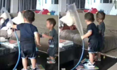 Clip: 2 "báo thủ" dùng vòi tưới cây... “rửa” phòng khách khiến mẹ dở khóc dở cười