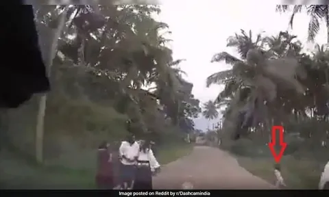 Camera hành trình ghi lại cảnh bé trai suýt bị ô tô tông trúng, phụ huynh giật mình tỉnh ngộ