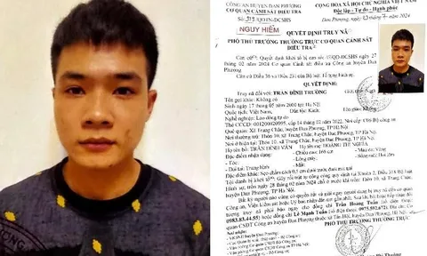 Công an truy nã Trần Đình Trường về tội gây rối trật tự công cộng