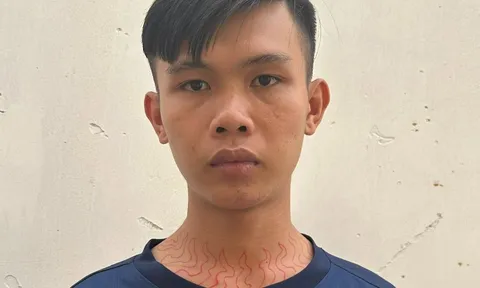 Tạm giữ Nguyễn Võ Hoài Nhớ, thanh niên dùng biển số giả tông xe CSGT rồi bỏ chạy