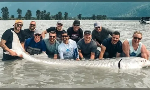 Khoảnh khắc "thủy quái nước ngọt" khổng lồ trồi lên mặt nước khiến nhóm ngư dân choáng váng, hiếm tới mức cả thập kỷ mới thấy một lần