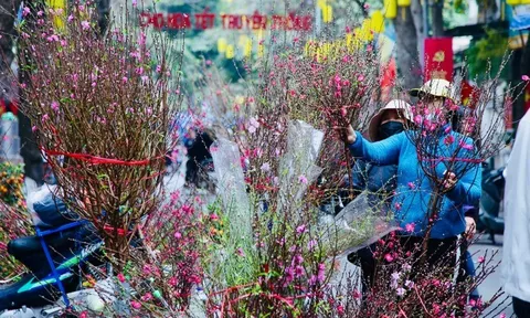 Tết Âm lịch 2026: Người lao động có bao nhiêu ngày nghỉ hưởng nguyên lương theo quy định của Bộ luật Lao động 2019?