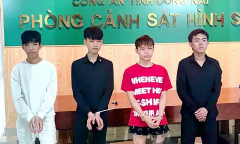 Hé lộ danh tính 4 nghi phạm trong vụ giết người nghiêm trọng, đối tượng trẻ nhất sinh năm 2010