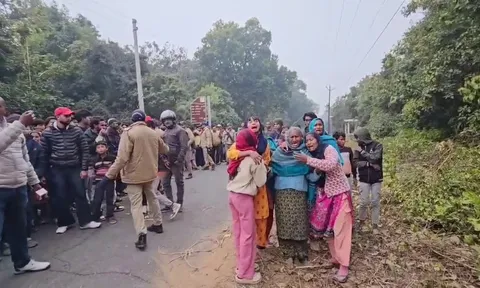 Bị hổ vồ, người phụ nữ tử vong thương tâm