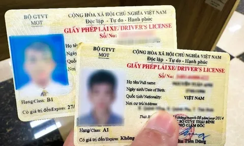 Không có hoặc dùng giấy phép lái xe hết điểm sẽ bị xử phạt đến 20 triệu đồng, cụ thể ra sao?