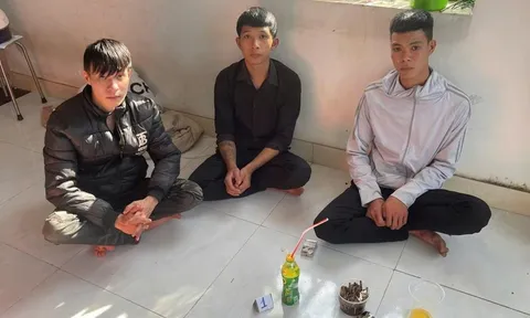 Lê Đăng Khoa bị bắt