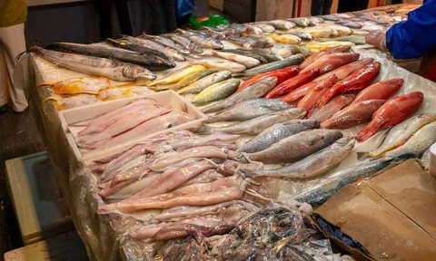 Nuốt sống mật cá để chữa đau đầu và cái kết