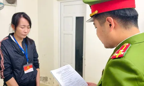 Khởi tố Hà Thị Tú Oanh, nữ giám đốc chuyên cung cấp thực phẩm cho các trường học