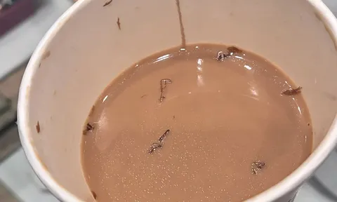 Uống gần hết cốc cà phê, người đàn ông mới bàng hoàng phát hiện "vật thể lạ"