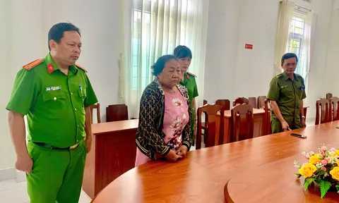 Khởi tố, bắt tạm giam Võ Thị Kim Hoàng