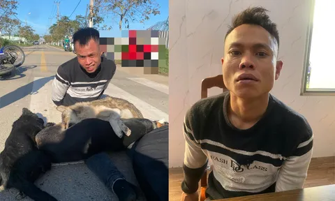 Truy bắt "bộ đôi" chuyên trộm chó