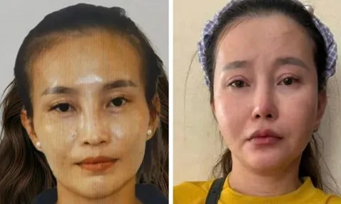 Phẫu thuật thẩm mỹ để trốn truy nã, Hồ Thị Mỹ Loan vẫn bị bắt