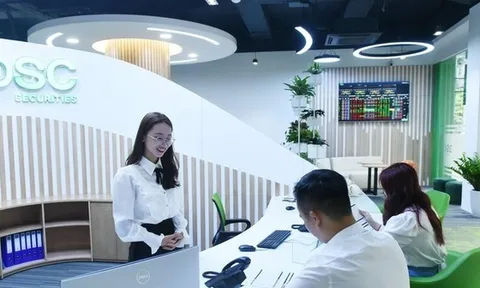 Chứng khoán DSC bị xử phạt vì công bố thông tin không đúng thời hạn