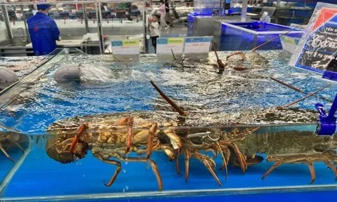 Việt Nam vừa đón một tin cực vui từ Trung Quốc