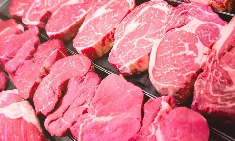 Bữa ăn trong chuyến cắm trại và cái kết đau lòng của thiếu niên 16 tuổi