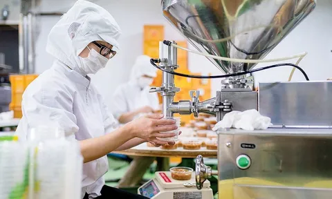 Những ngành nghề nào được dự báo sẽ 'khát' lao động sau tết Nguyên đán 2026?