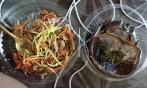 Người phụ nữ nhập viện khẩn cấp sau khi ăn salad trứng sam biển