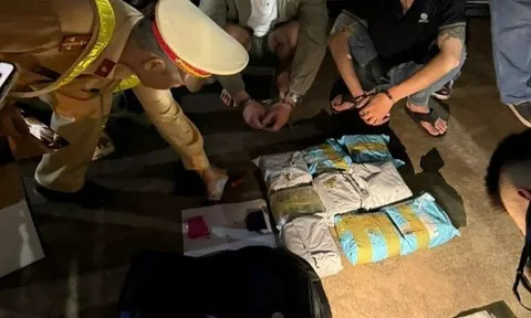 Bắt giữ 3 đối tượng mua bán hơn 10 kg ma túy