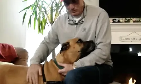 Chú chó bỗng sủa dữ dội trước một ngôi nhà quen thuộc, khoảnh khắc sau đó khiến người chủ không thể quên