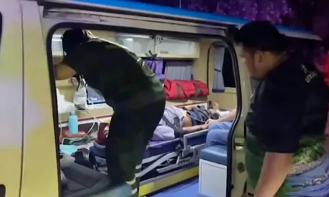 Cụ ông 87 tuổi tử vong thương tâm sau khi bị voi rừng tấn công tại Thái Lan