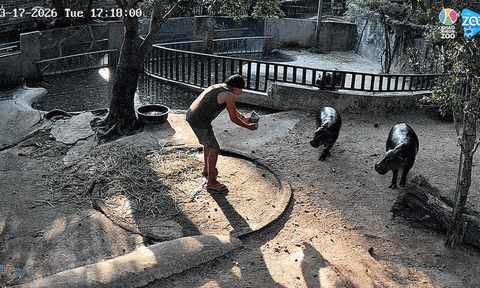 Người đàn ông liều lĩnh trèo vào khu nuôi hà mã để quay video rồi nhận cái kết không ngờ