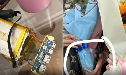 Đặt bó hoa tốt nghiệp đặt cạnh giường suốt nhiều tháng, cô gái hoảng sợ khi phát hiện bí mật giấu kín bên trong