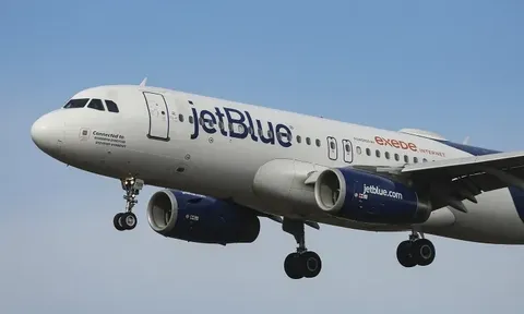 Máy bay phải quay đầu khẩn cấp chỉ vì va chạm với... chó sói