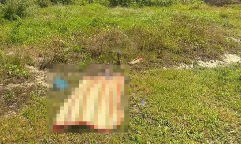 Phát hiện người đàn ông tử vong trong rừng dương sau 3 ngày mất tích: Con trai ngã quỵ, ngồi sụp bên cạnh thi thể cha