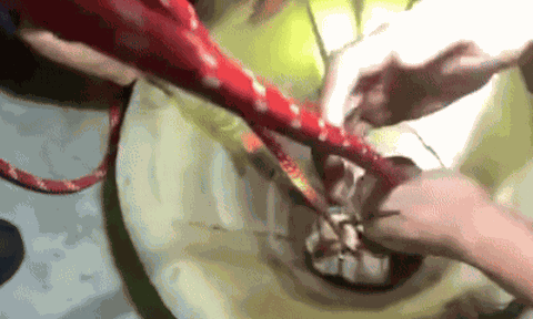 Chỉ một phút sơ sẩy, cô gái 22 tuổi rơi xuống giếng sâu: Cảnh giải cứu khiến nhiều người không dám rời mắt