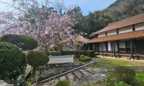 Bỏ tiền tỷ mua nhà hoang tại Nhật, mở cửa ra mới biết bên trong là cả một “cơn ác mộng” sửa chữa