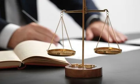 Những luật mới có hiệu lực từ 01/01/2025