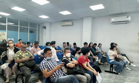 TP Hồ Chí Minh còn tồn hơn 170.000 giấy phép lái xe cần xử lý