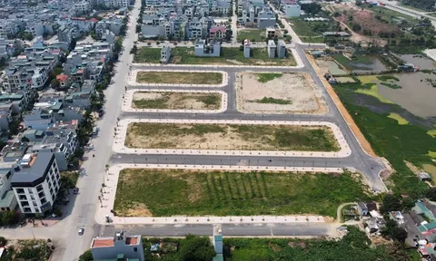 Thanh Hoá, Hưng Yên mở hàng năm mới, hàng trăm lô đất lên sàn đấu giá