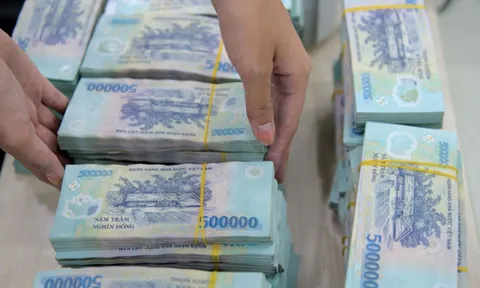 Sau 1 năm thắng lớn, ngân hàng đồng loạt chia cổ tức cao