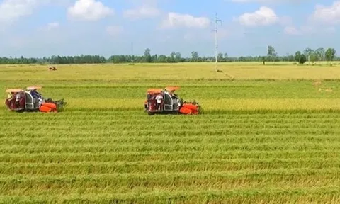 Quy định về hỗ trợ khi thu hồi đất nông nghiệp