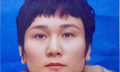 Khởi tố bị can Lê Thị Mai về tội "Lợi dụng các quyền tự do dân chủ xâm phạm lợi ích của Nhà nước, quyền, lợi ích hợp pháp của tổ chức, cá nhân"