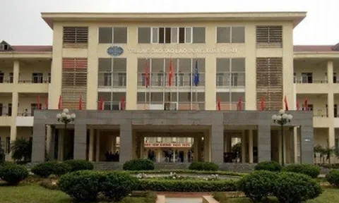 Vì sao Chủ tịch và Tổng Giám đốc Công ty Sona bị khởi tố?