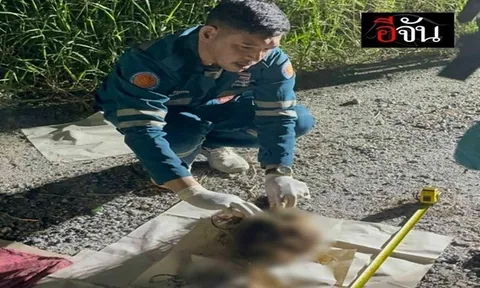 Phát hiện hộp sọ người bọc trong túi nilon ở Thái Lan, hé lộ danh tính nạn nhân