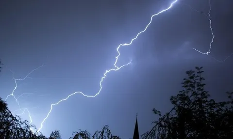 3 người trong một gia đình bị sét đánh tử vong khi trú dưới gốc cây xoài, sĩ quan cảnh sát tiết lộ chi tiết đau lòng