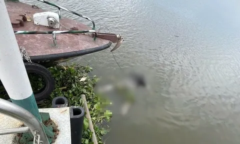 Phát hiện thi thể trôi trên sông Sài Gòn: Nghi là nữ giới, độ tuổi ngoài 30