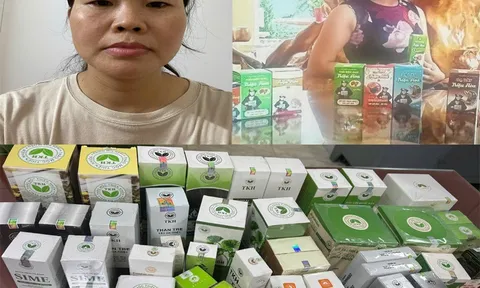 Khởi tố nữ giám đốc sản xuất, buôn bán hàng chục ngàn hộp thực phẩm chức năng giả: Danh sách 12 sản phẩm