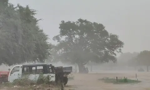 Đứng gần cây dừa lúc trời mưa lớn, 4 học sinh bị sét đánh